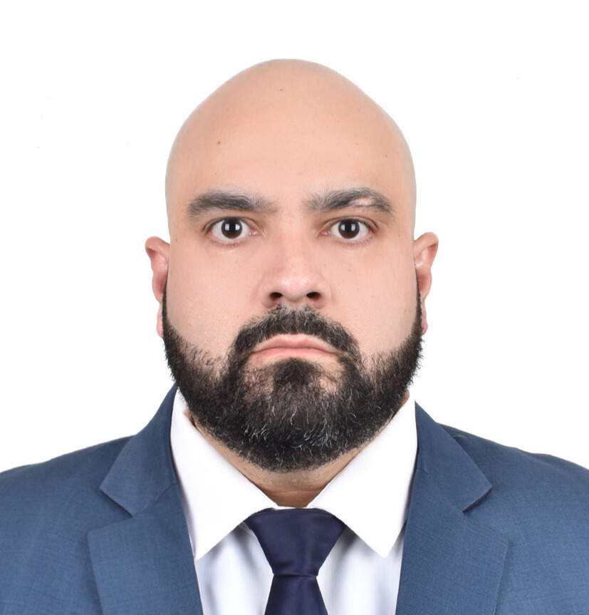 Javier Rebull — Investigador